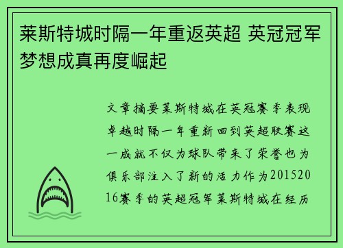 莱斯特城时隔一年重返英超 英冠冠军梦想成真再度崛起 莱斯特城时隔一年重返英超 英冠冠军梦想成真再度崛起